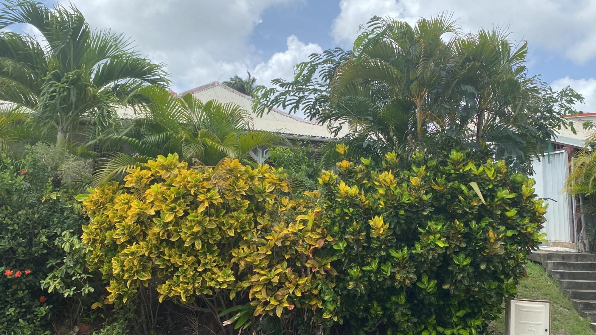 Bungalow Belfond Plage Pointe Marin Sainte-Anne Bagian luar foto